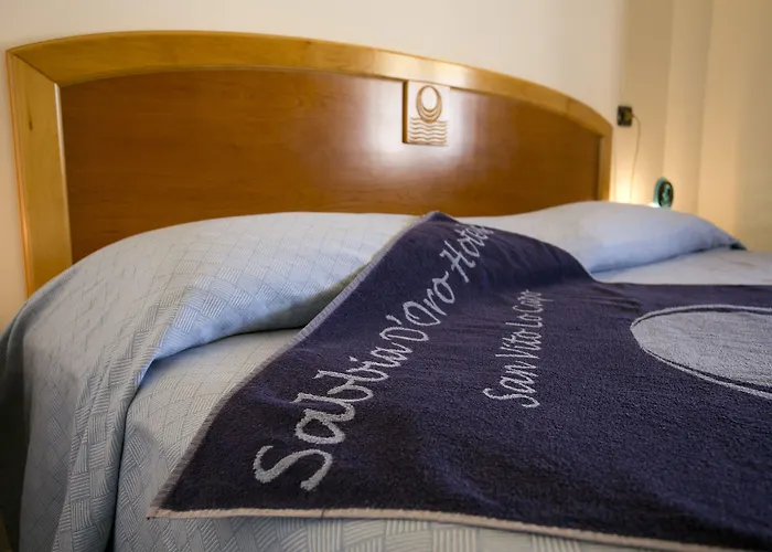 酒店 Sabbia D'oro 3*